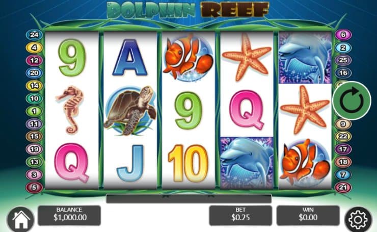 Dolphin Reef pusy888 Slot